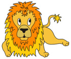 Lion small